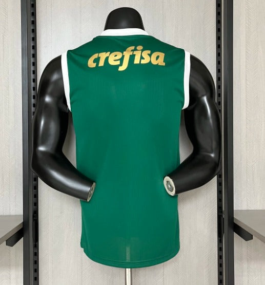 Camisa Puma Palmeiras I 2024/25 Verde - Regata (FRETE GRÁTIS)