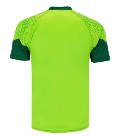 Nova Camisa do Palmeiras Treino e Viagen Verde- 2024-25 (FRETE GRÁTIS)