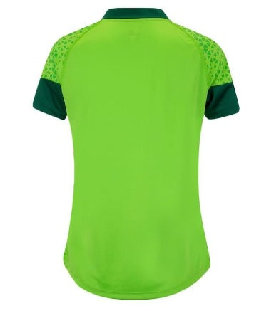 Nova Camisa do Palmeiras Treino e Viagen Verde- 2024-25 (FRETE GRÁTIS)